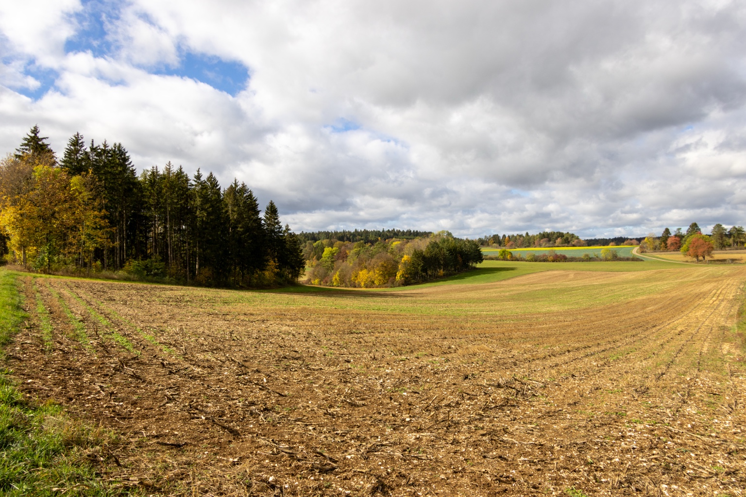 Felder und grüne Wiesen bei Hayingen, gesäumt von herbstlichen Bäumen unter großen Wolken