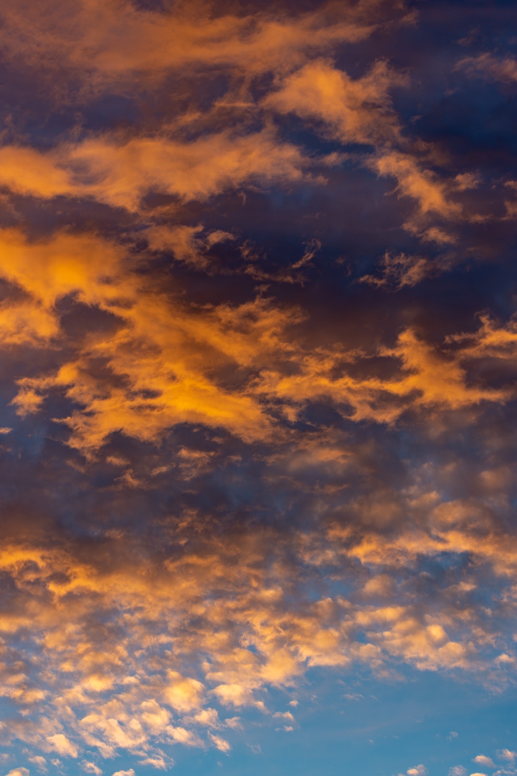 Orangegoldene und dunkelviolette Wolken über einer hellblauen Himmelsöffnung im Hochformat