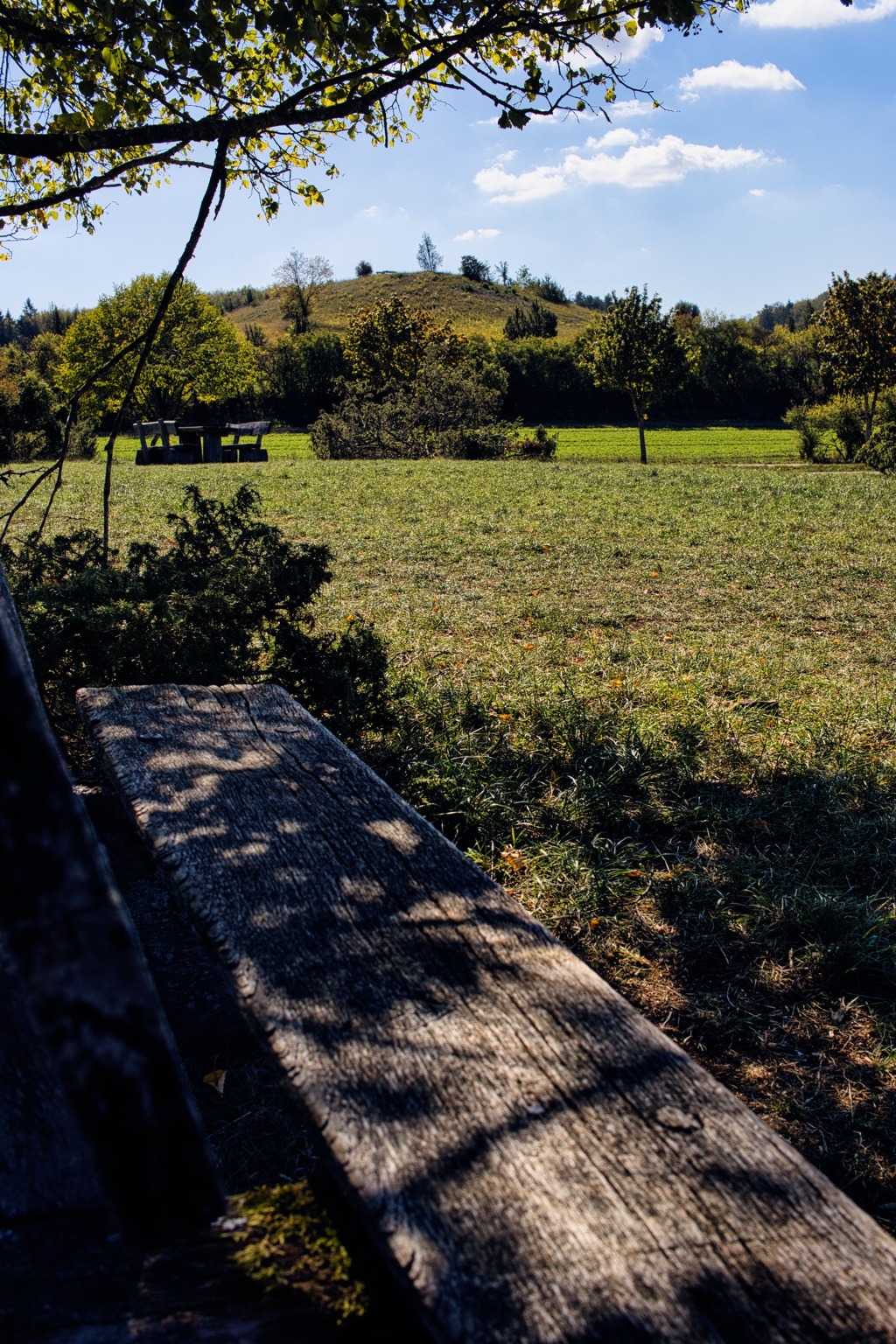 Holzbank im gemusterten Blätterschatten mit Aussicht auf Wiesen und einen Hügel