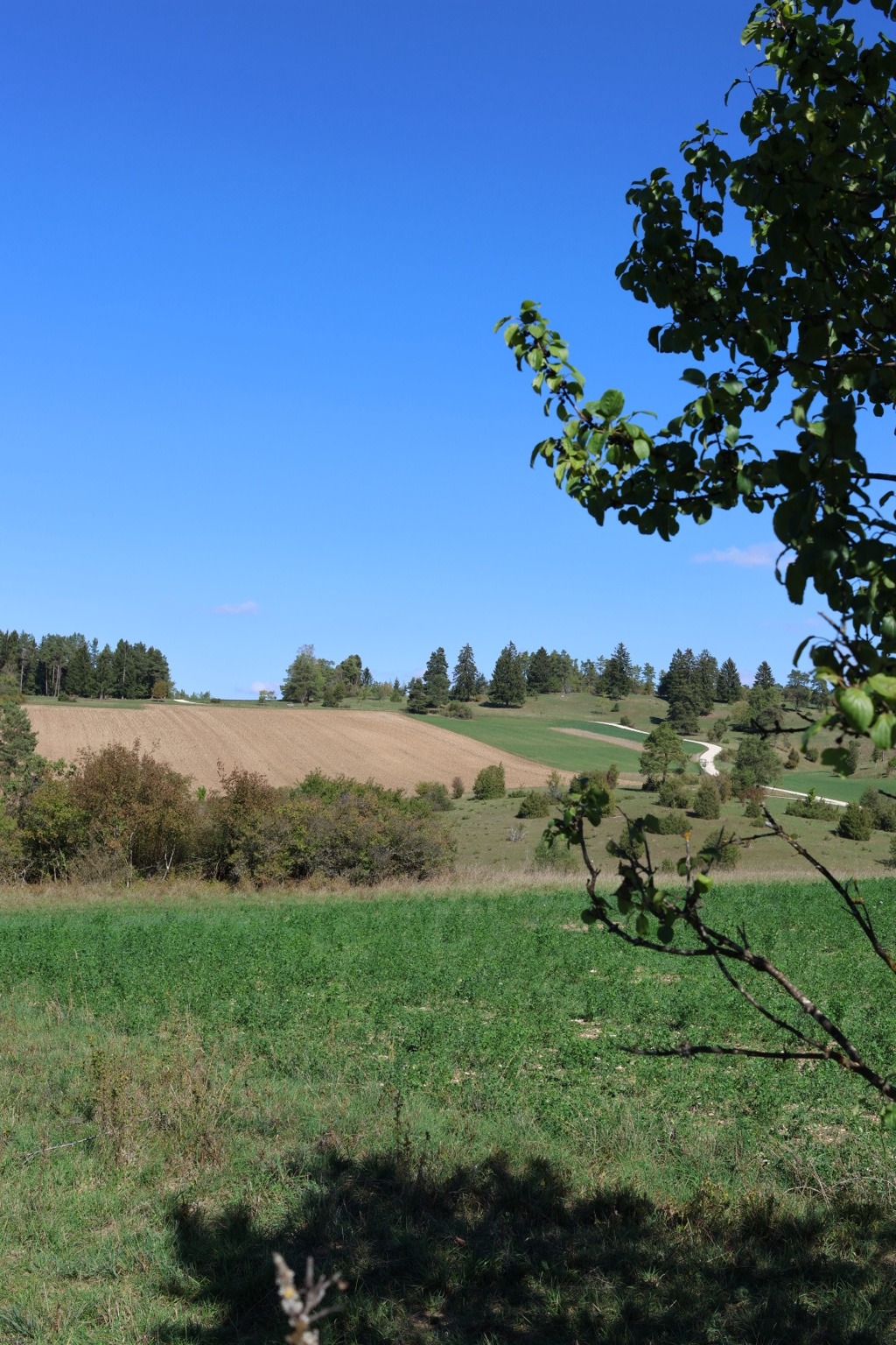 Hochformat mit blauem Himmel über Wiesen, Heidelandschaft und Blättern am rechten Rand
