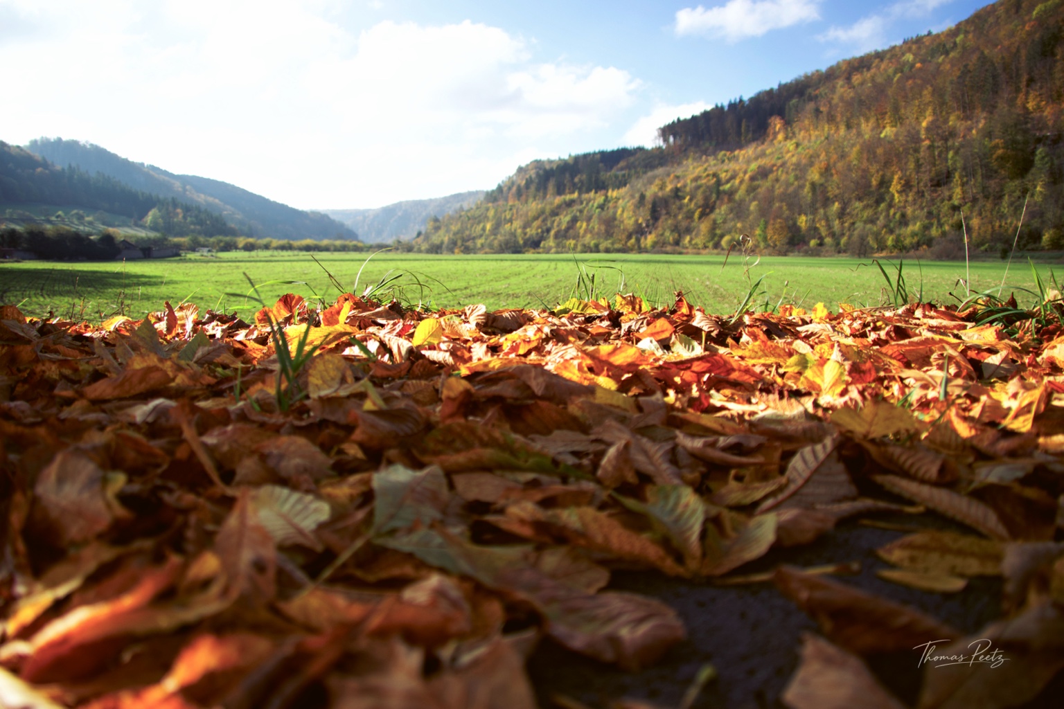 Orangebraunes Herbstlaub im Vordergrund vor einer grünen Wiese und bewaldeten Talhängen