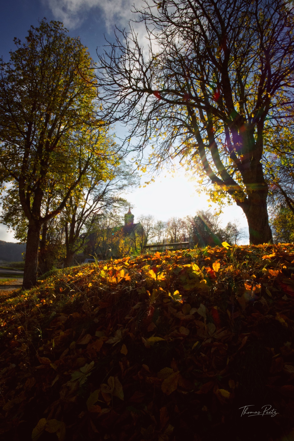 Sonne zwischen herbstlichen Bäumen, darunter leuchtendes Laub und im Hintergrund ein Kirchturm