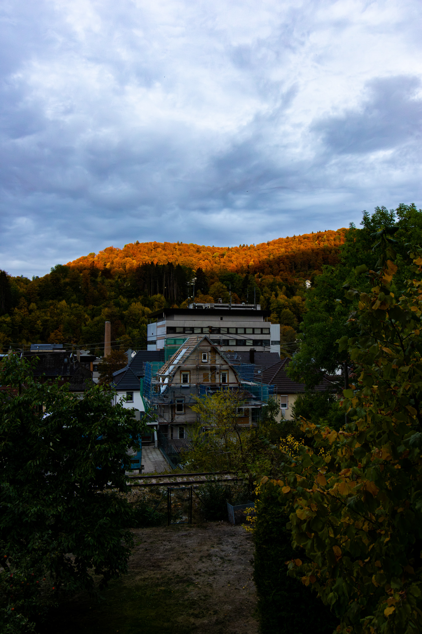 Goldorange leuchtender Waldhang über Häusern in Ebingen unter graublauen Wolken