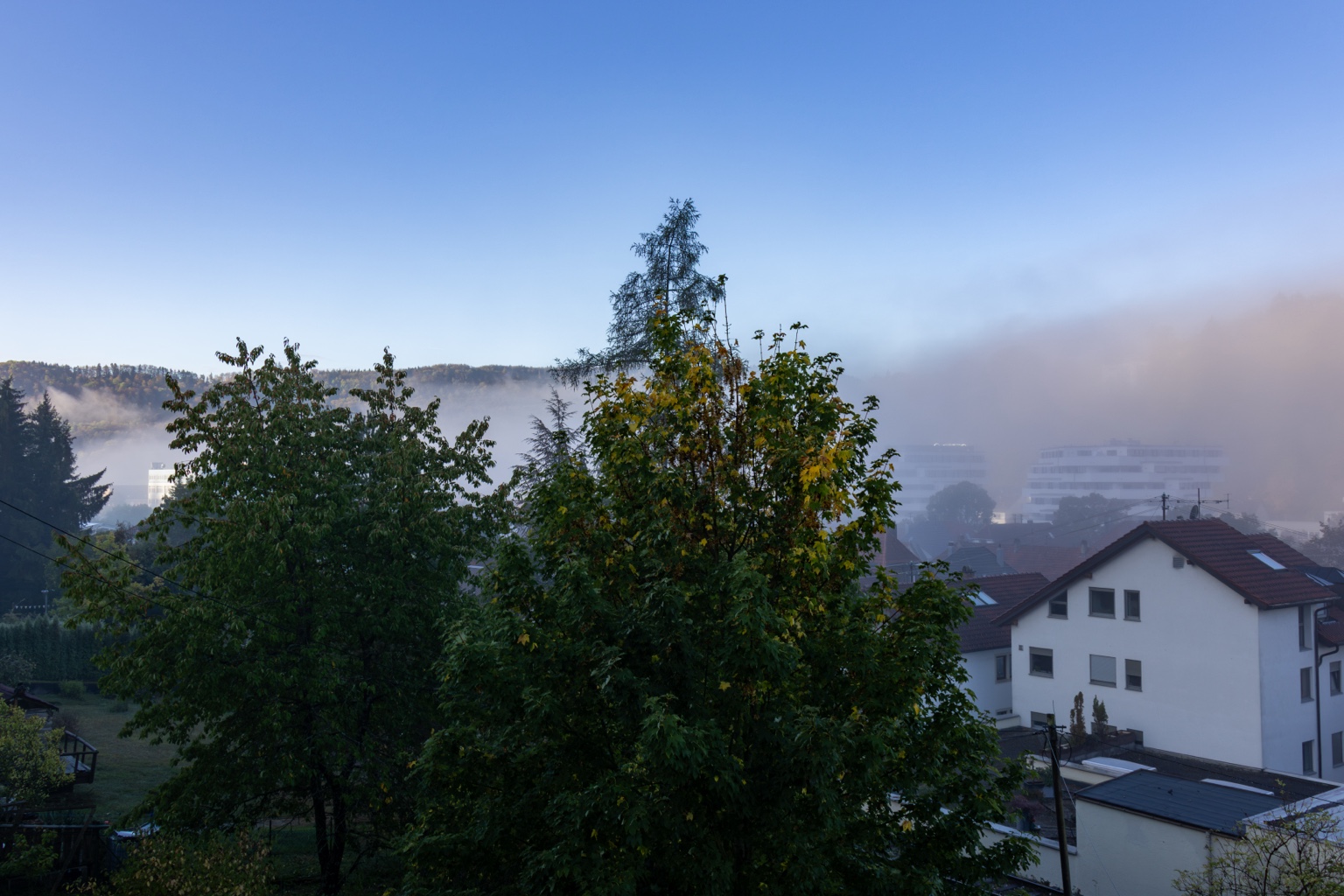 Grüne und gelbe Bäume vor Häusern in Ebingen, dahinter Nebel über der Stadt unter blauem Himmel