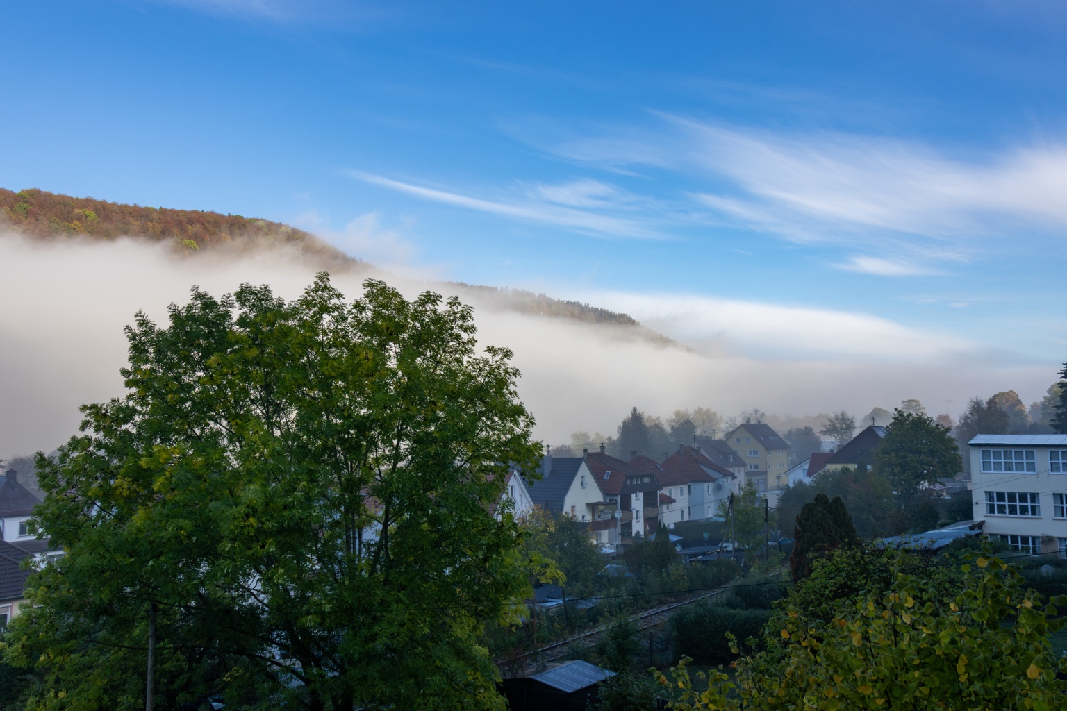 Weiße Nebelbank unter einem herbstlichen Waldhang, davor Häuser und Bäume, darüber klarer blauer Himmel
