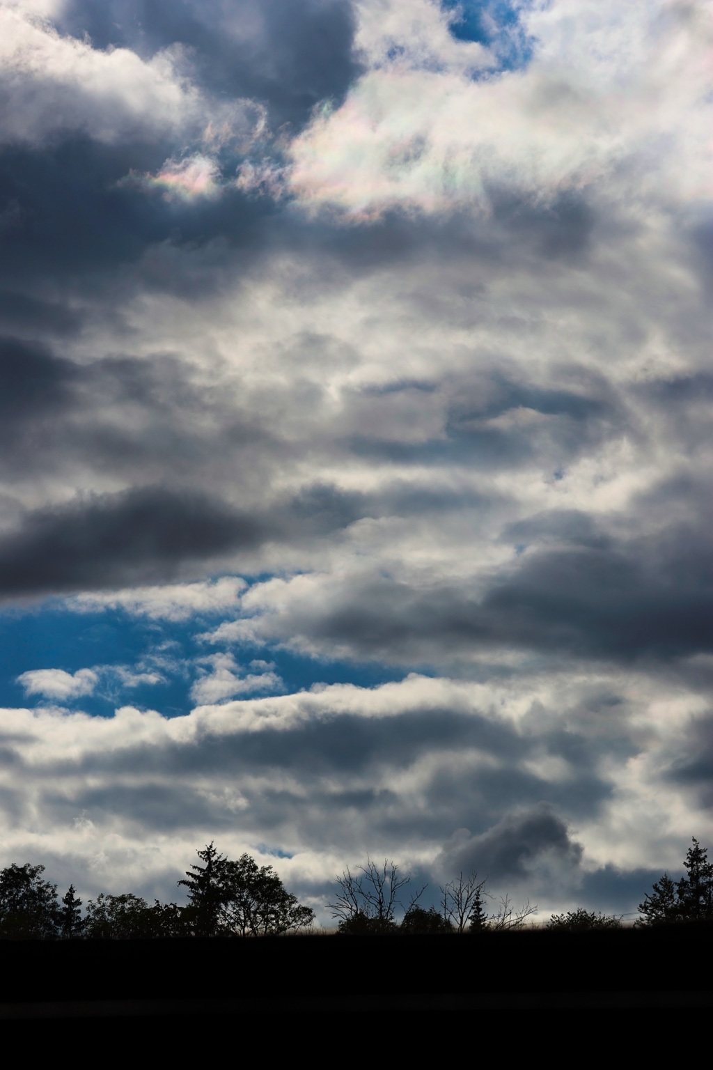 Hoher Wolkenhimmel mit zart farbig schimmernden hellen Wolkenrändern über Baumsilhouetten