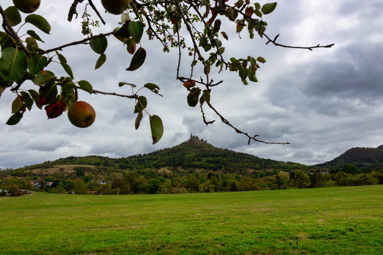 Apfelzweige rahmen den Blick über eine grüne Wiese zur Burg Hohenzollern unter Herbstwolken