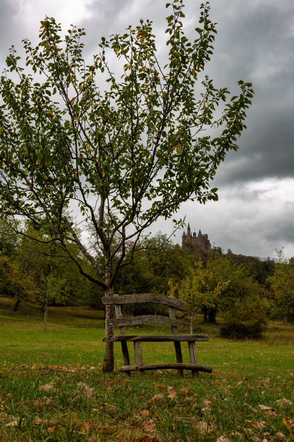 Ein verwitterter Holzsitz unter einem Obstbaum, dahinter die Burg Hohenzollern zwischen herbstlichen Bäumen
