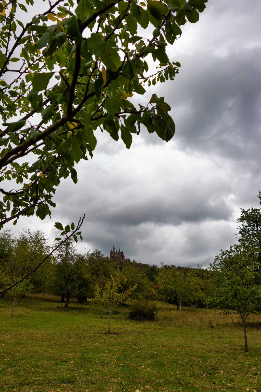 Eine Obstwiese mit herbstlichen Bäumen und der fernen Burg Hohenzollern, eingerahmt von Zweigen unter dunklen Wolken