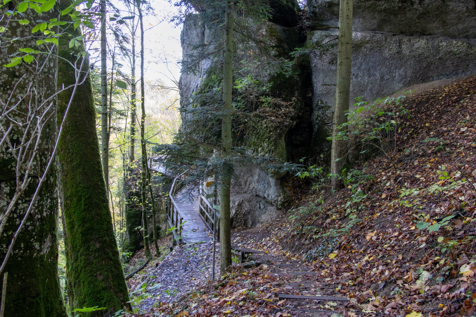 Stufen führen zu einem Holzsteg an einer mächtigen Felswand