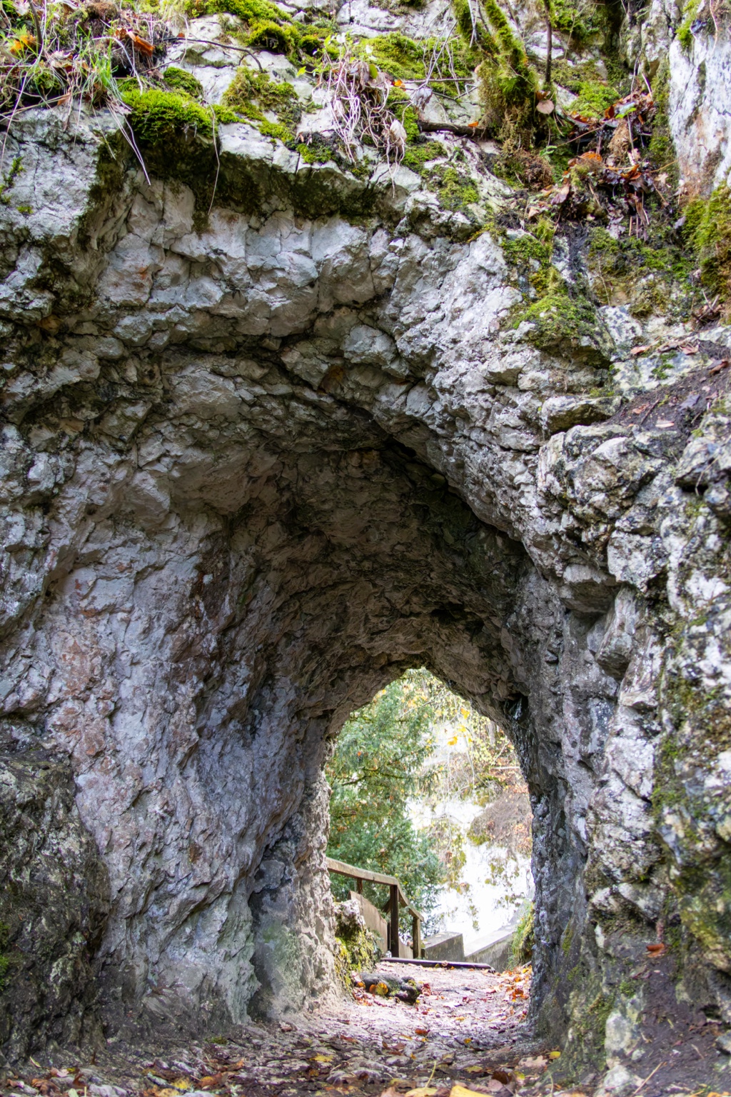 Rauer Felstunnel mit laubbedecktem Weg und hellem Ausgang