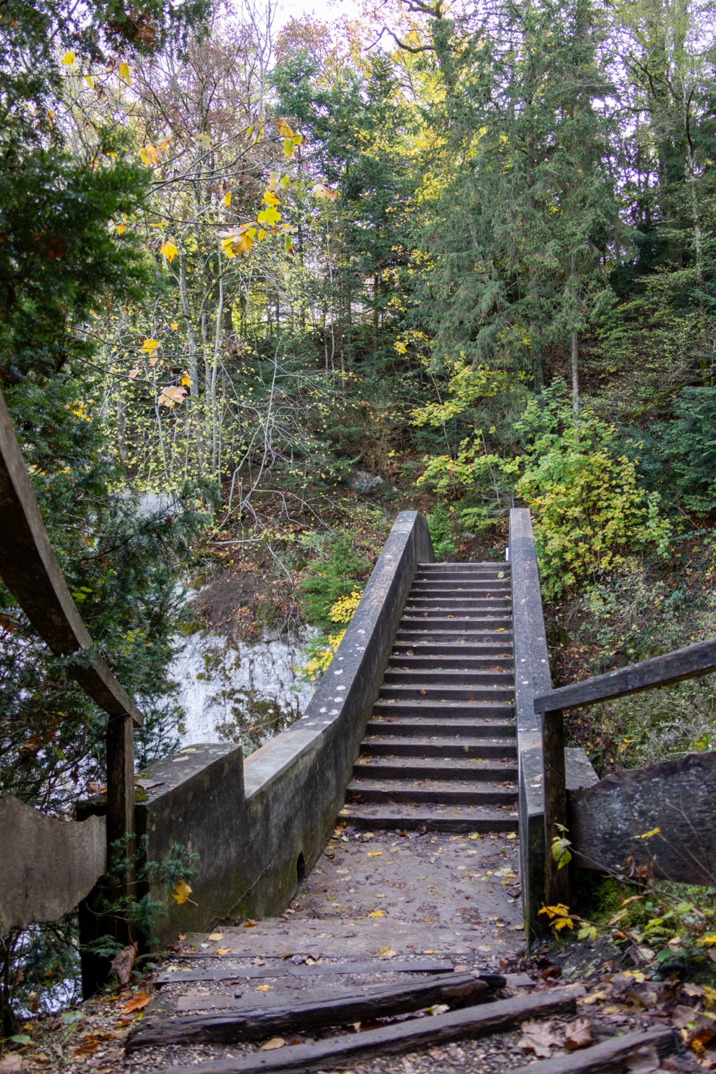 Aufsteigende Treppen der Teufelsbrücke zwischen herbstlichen Bäumen