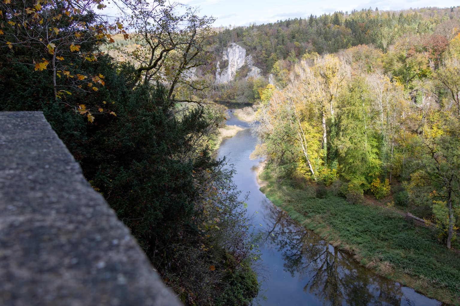Donau mit Baumspiegelungen und hellen Felsen vom erhöhten Standpunkt aus