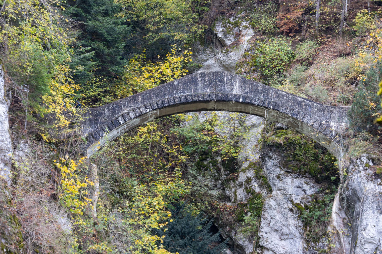 Nahansicht des geschwungenen Bogens der Teufelsbrücke vor Fels und Laub