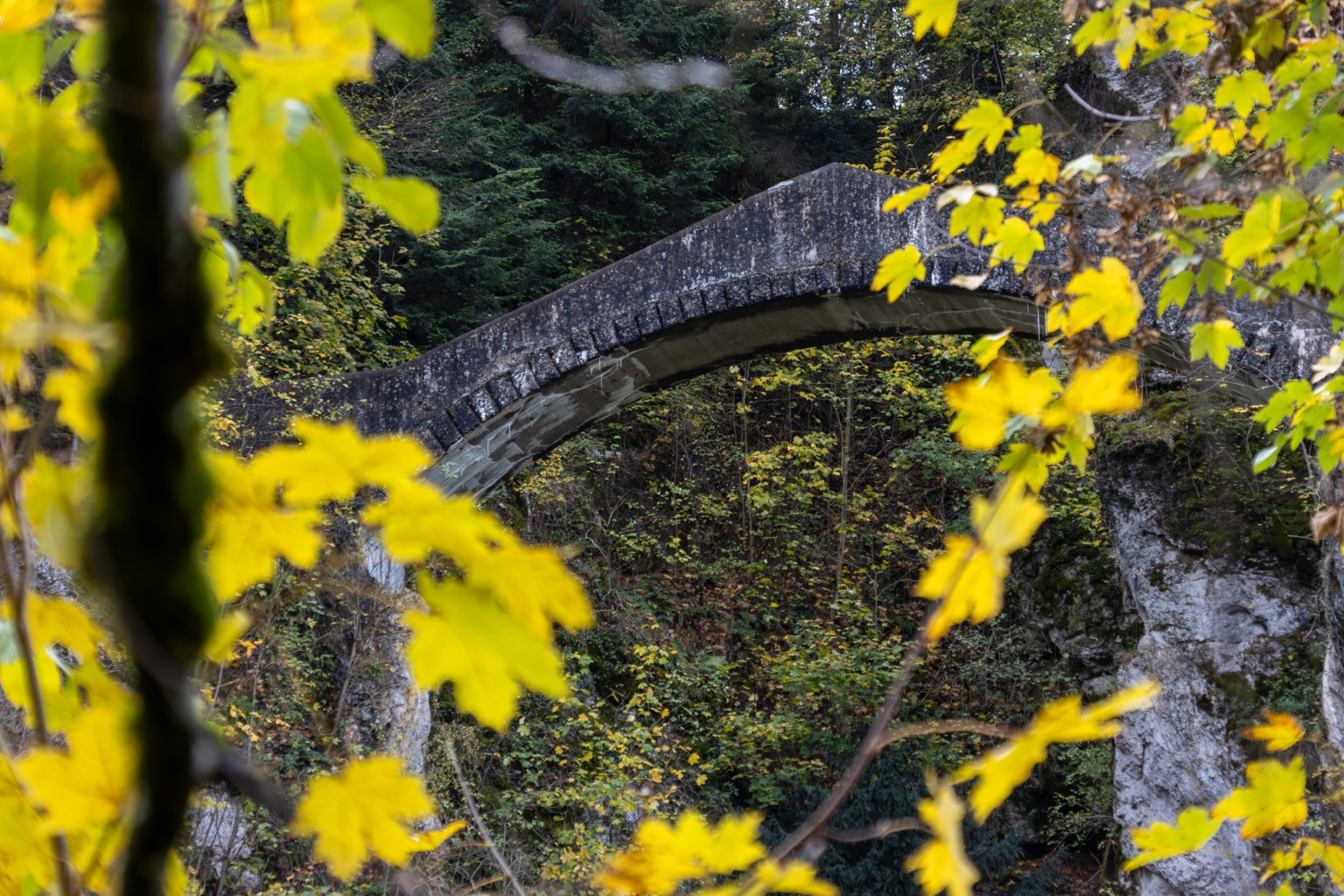Gelbe Blätter rahmen den Bogen der Teufelsbrücke zwischen den Felsen