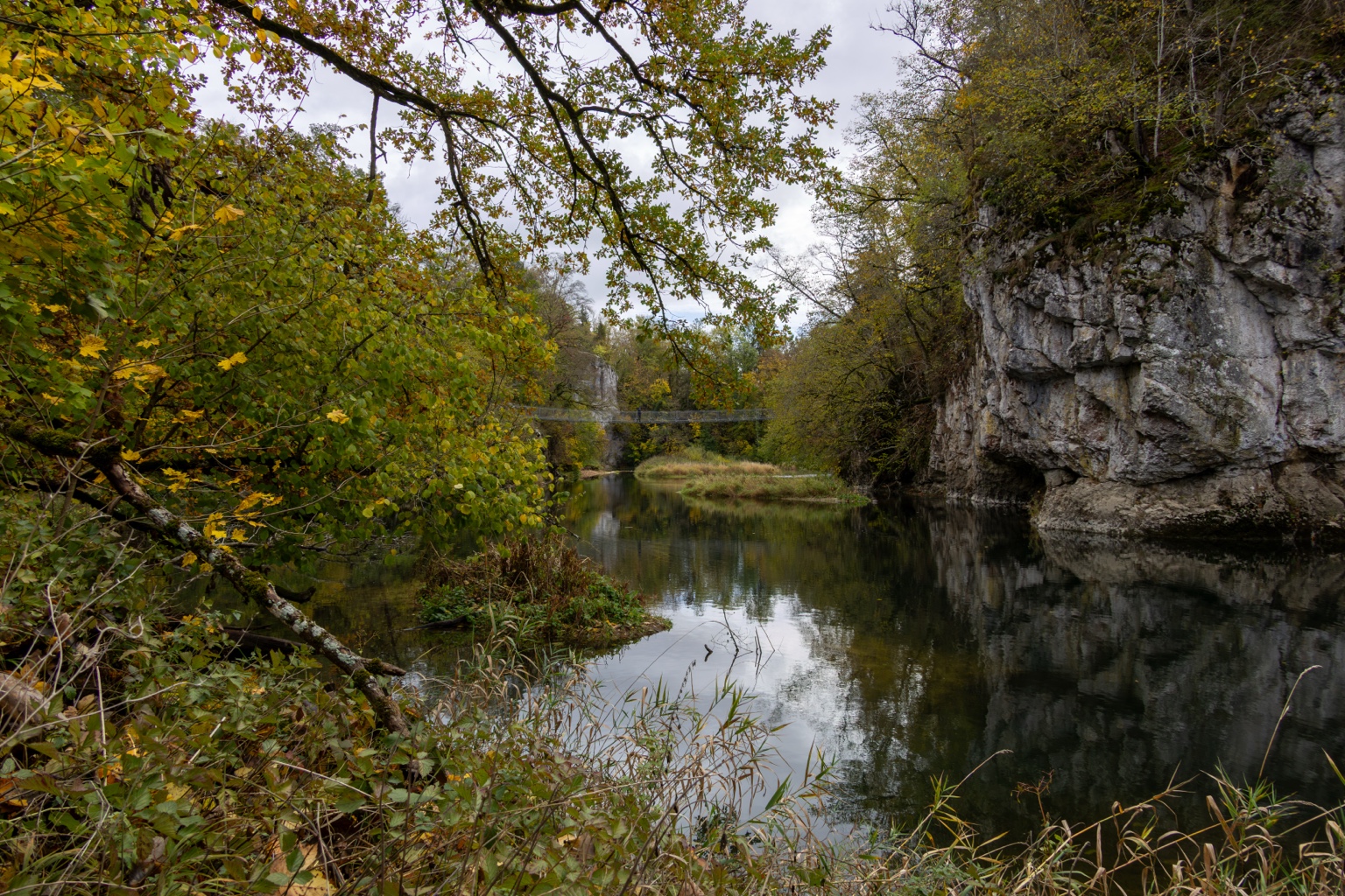 Ruhige Donau zwischen Herbstlaub und einer hellen Felswand mit Spiegelung