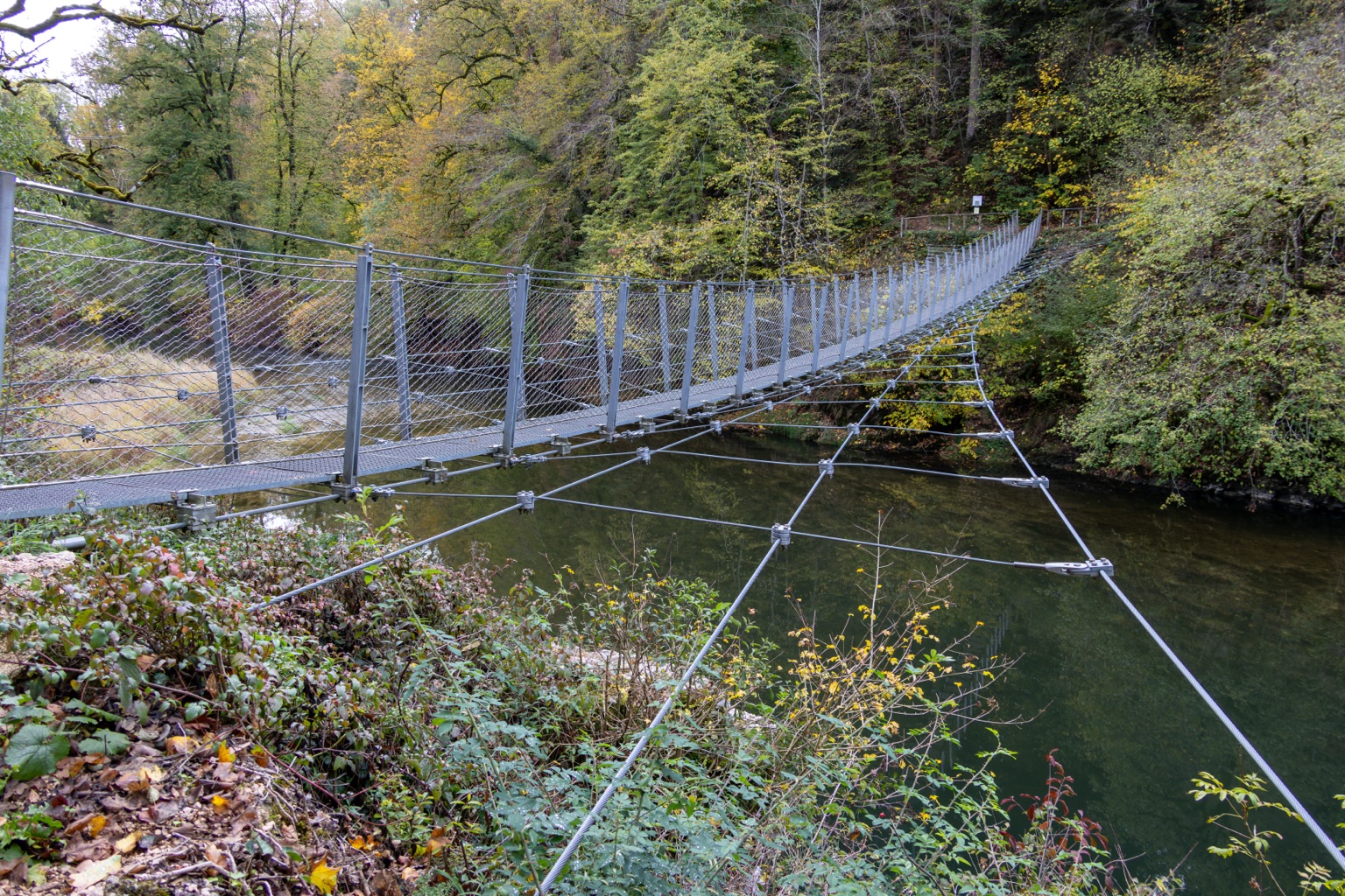 Seitenansicht der Hängebrücke mit Spannseilen über der Donau