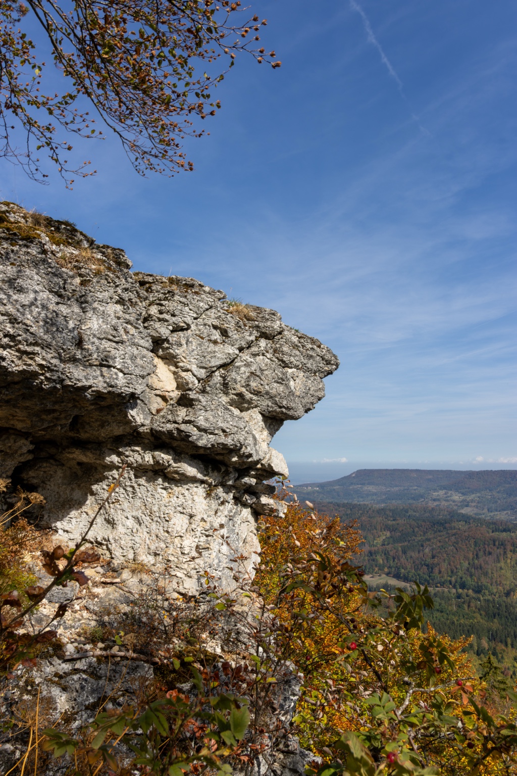 Rauer heller Fels mit bunten Zweigen vor einem weiten Landschaftspanorama und blauem Himmel