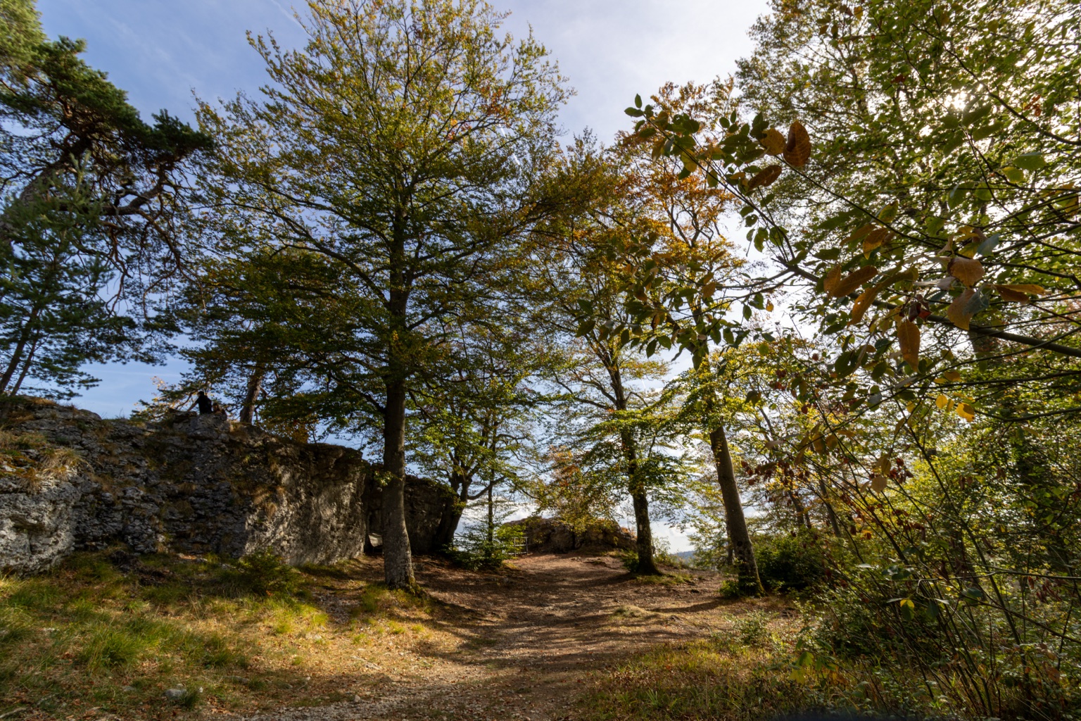 Waldweg zwischen hellen Felsen und herbstlichen Bäumen im Sonnenlicht