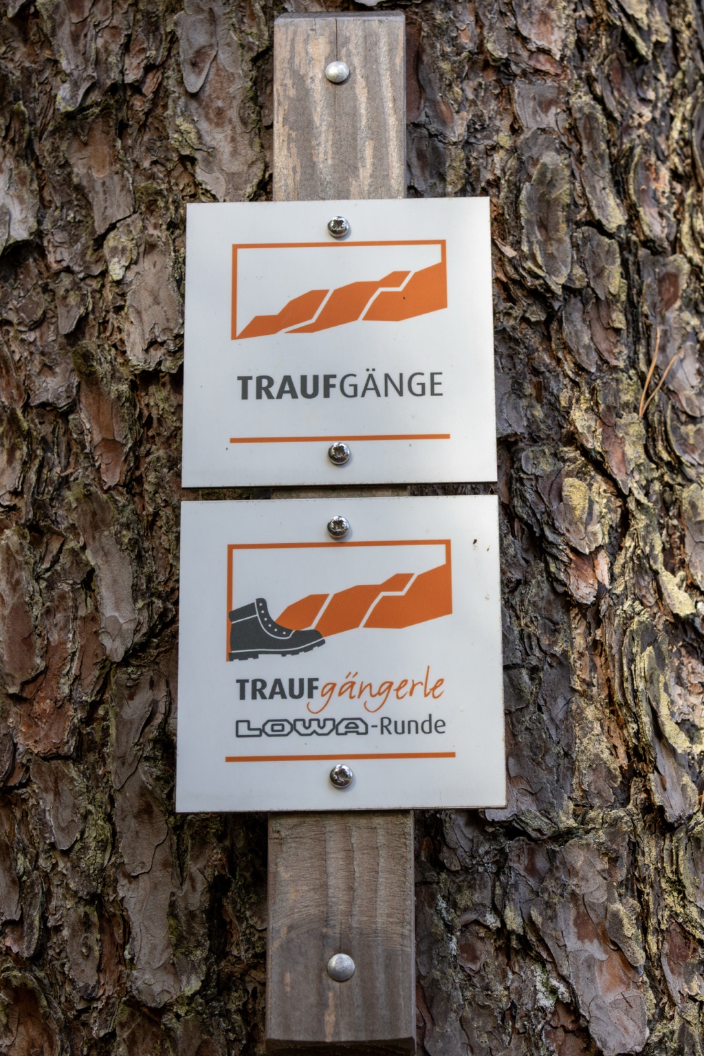 Weiße Wegmarkierungen der Traufgänge und des Traufgängerle LOWA-Runde auf einem Baumstamm