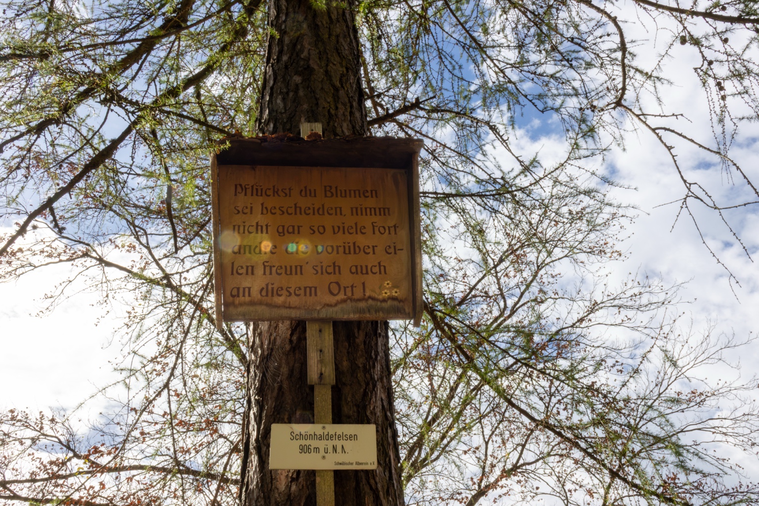 Holzschild mit einem Aufruf zur Rücksicht auf die Natur und Ortsschild Schönhaldenfelsen an einem Baum