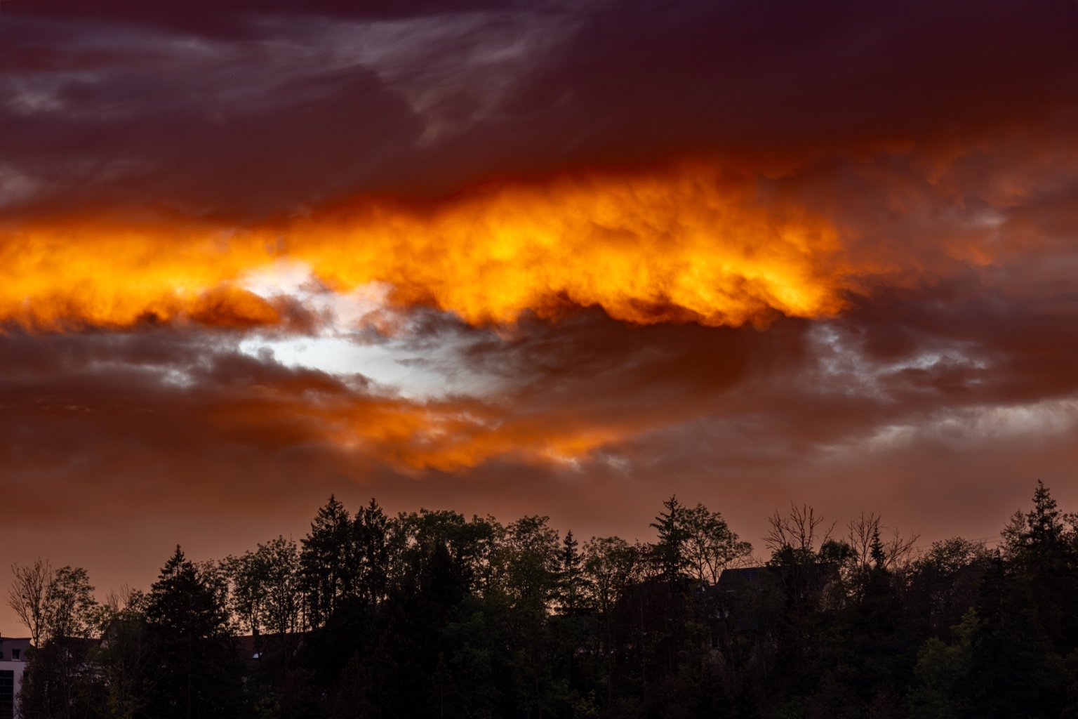Leuchtend orange Wolken unter einer dunklen Wolkendecke über schwarzen Baumsilhouetten