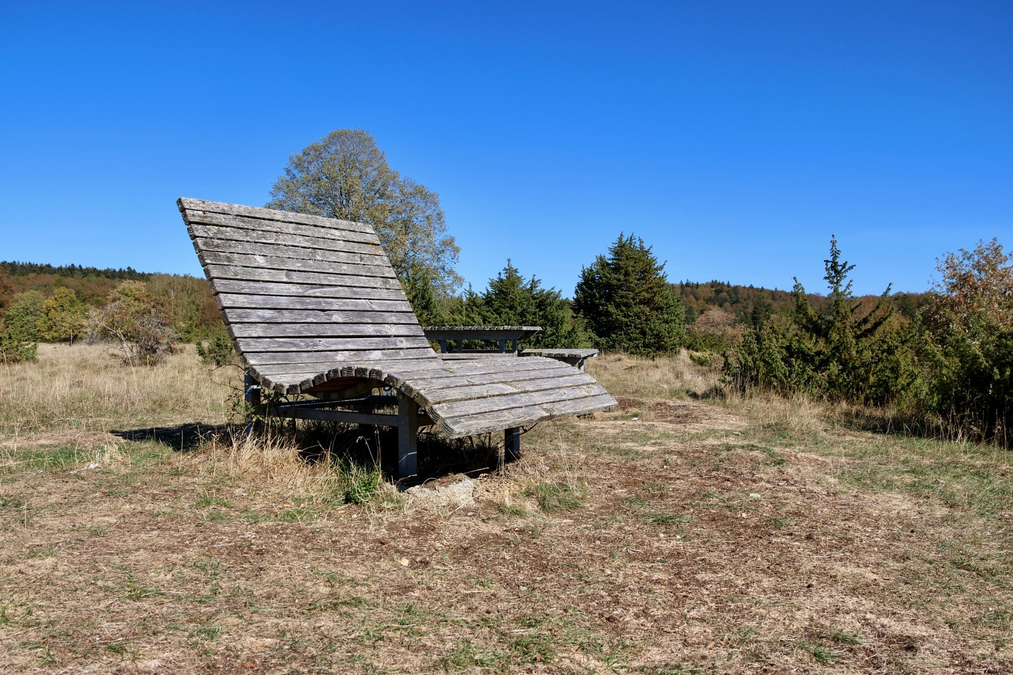 Geschwungene Holzliege auf einer trockenen Wiese unter blauem Himmel