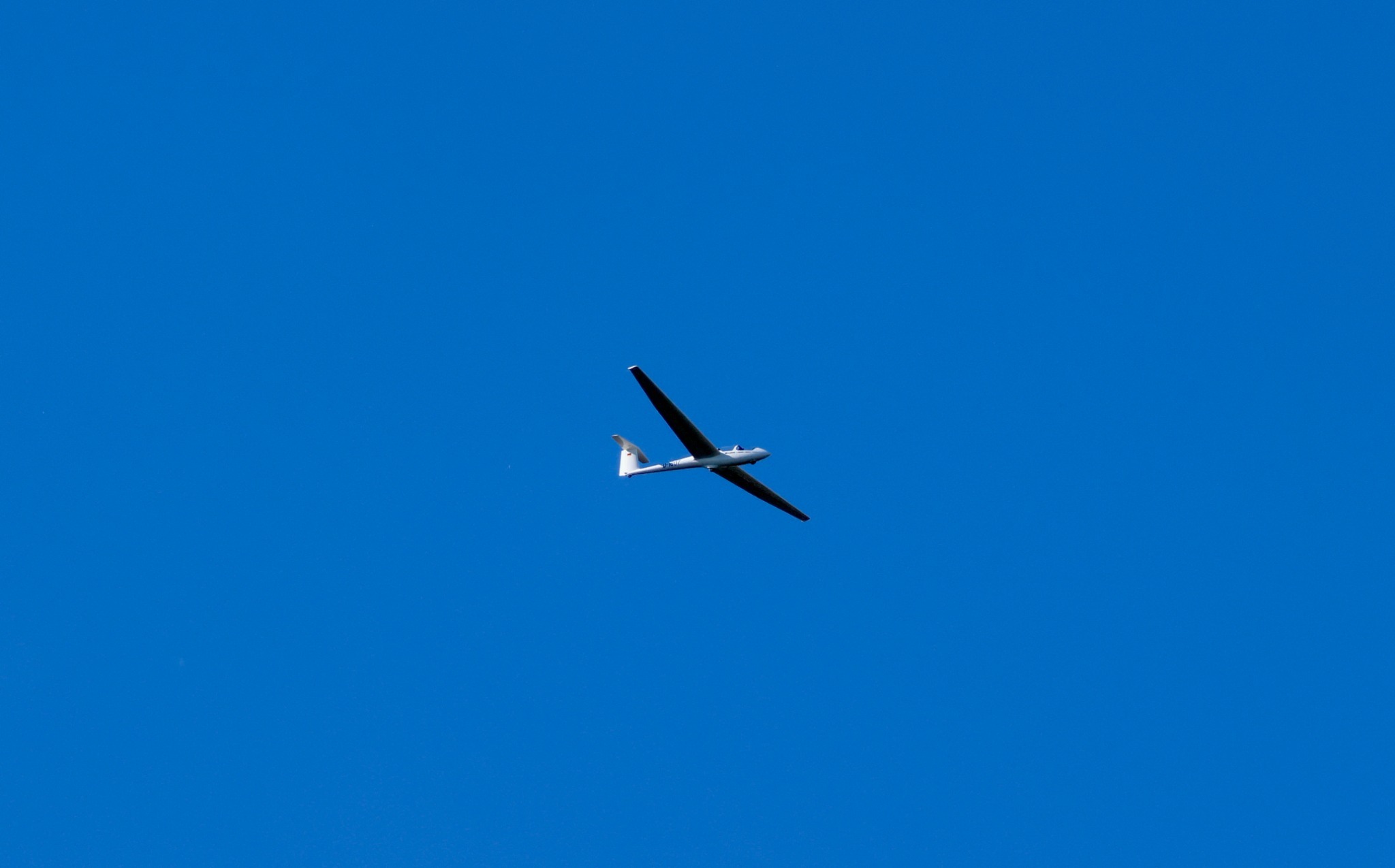 Segelflugzeug von unten gesehen mit schlanken Tragflächen vor blauem Himmel